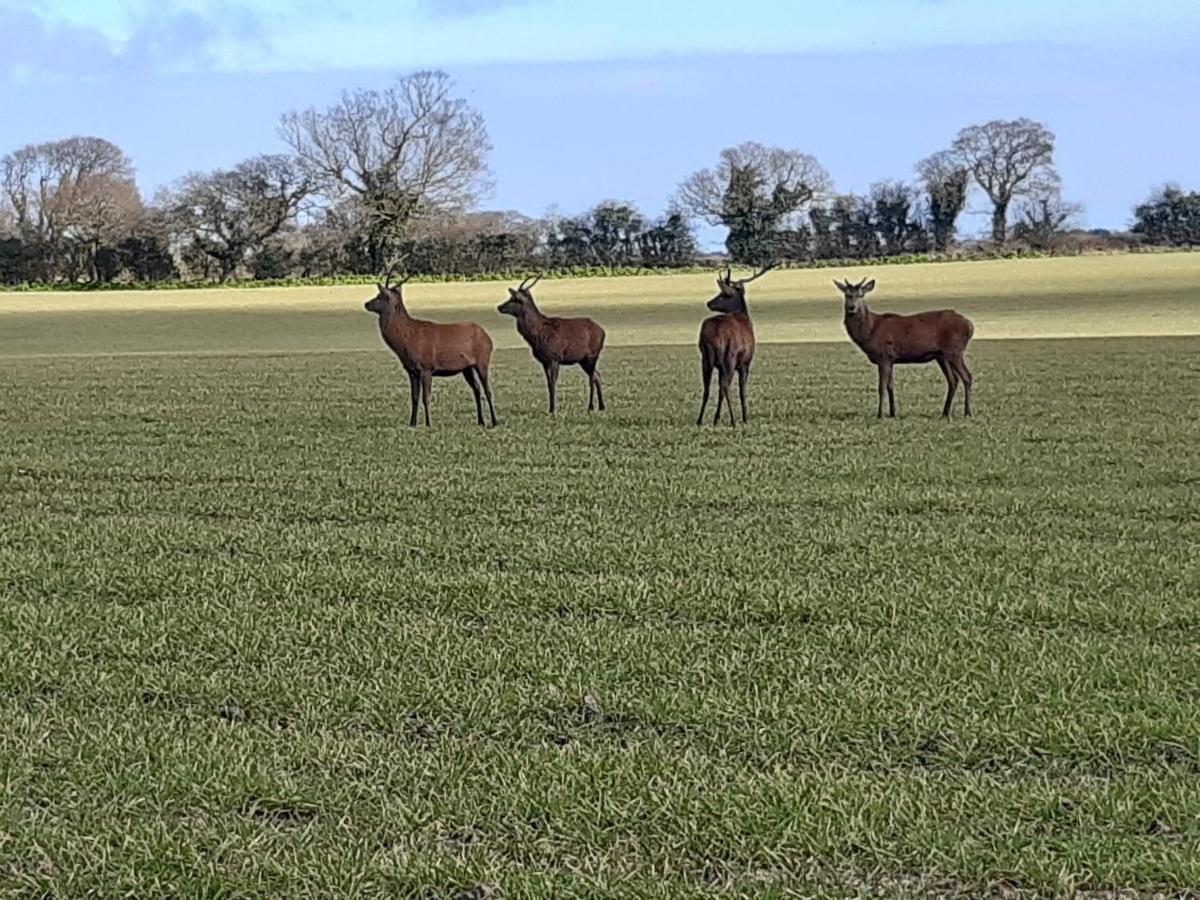 Littleholme 3*